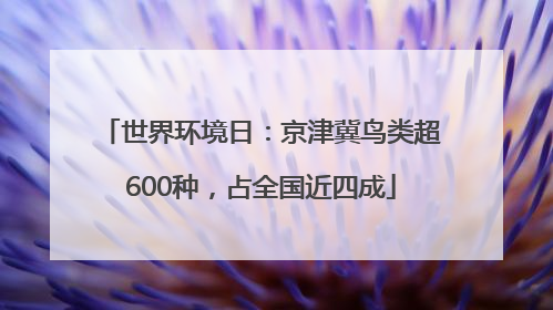 世界环境日：京津冀鸟类超600种，占全国近四成