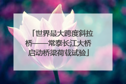 世界最大跨度斜拉桥——常泰长江大桥启动桥梁荷载试验