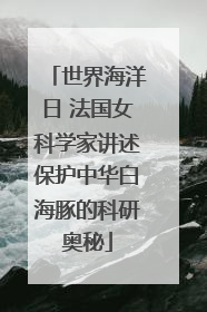 世界海洋日 法国女科学家讲述保护中华白海豚的科研奥秘