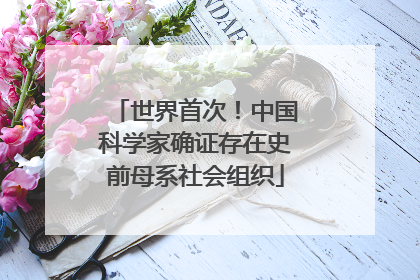 世界首次！中国科学家确证存在史前母系社会组织