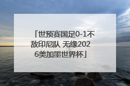 世预赛国足0-1不敌印尼队 无缘2026美加墨世界杯