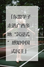 东盟学子走进广西多地“沉浸式”感知中国式民主