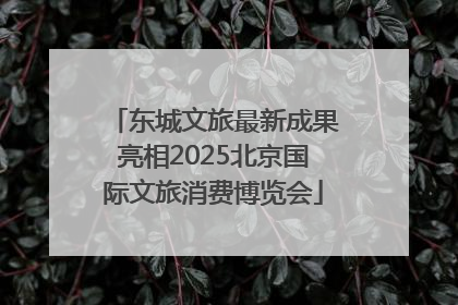 东城文旅最新成果亮相2025北京国际文旅消费博览会