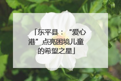 东平县：“爱心港”点亮困境儿童的希望之星