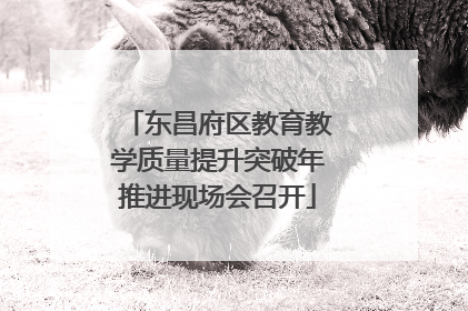 东昌府区教育教学质量提升突破年推进现场会召开