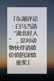 东湖评论：白马当选“湖北好人”，是对动物伙伴道德价值的深情褒奖