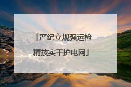 严纪立规强运检 精技实干护电网