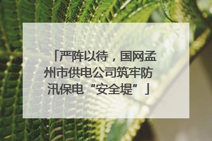 严阵以待，国网孟州市供电公司筑牢防汛保电“安全堤”