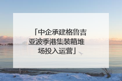 中企承建格鲁吉亚波季港集装箱堆场投入运营
