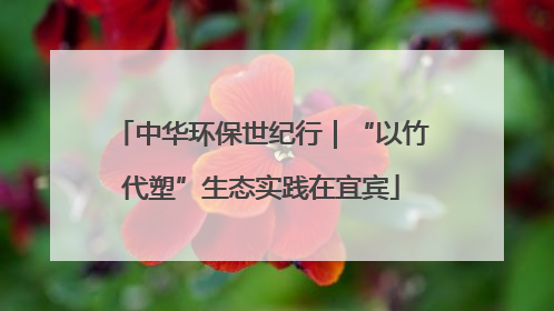 中华环保世纪行｜“以竹代塑”生态实践在宜宾