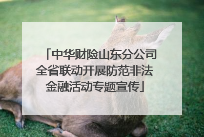 中华财险山东分公司全省联动开展防范非法金融活动专题宣传