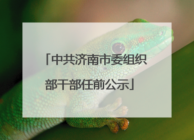 中共济南市委组织部干部任前公示