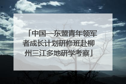 中国—东盟青年领军者成长计划研修班赴柳州三江多地研学考察