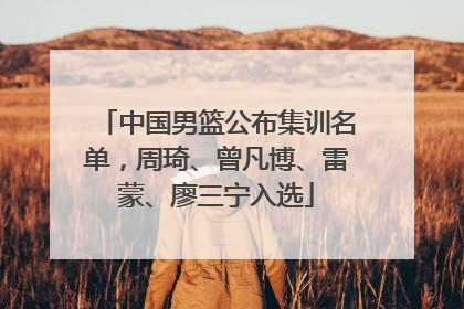 中国男篮公布集训名单，周琦、曾凡博、雷蒙、廖三宁入选