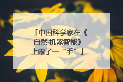 中国科学家在《自然·机器智能》上露了一“手”