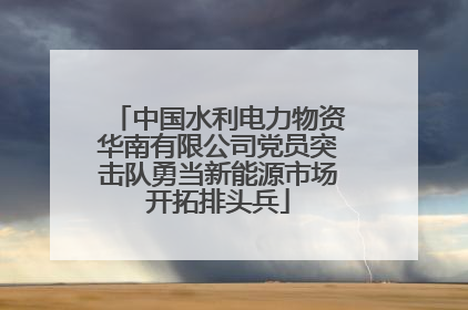 中国水利电力物资华南有限公司党员突击队勇当新能源市场开拓排头兵