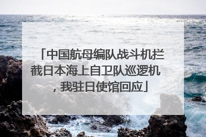 中国航母编队战斗机拦截日本海上自卫队巡逻机，我驻日使馆回应