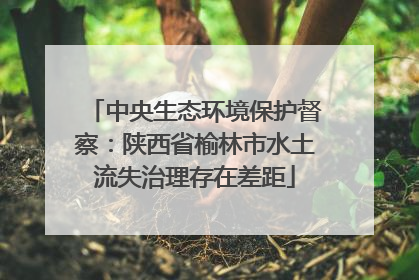 中央生态环境保护督察：陕西省榆林市水土流失治理存在差距