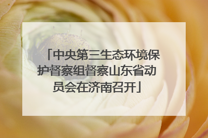 中央第三生态环境保护督察组督察山东省动员会在济南召开