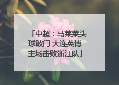 中超：马莱莱头球破门 大连英博主场击败浙江队