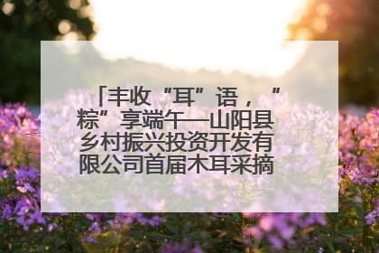 丰收“耳”语，“粽”享端午—山阳县乡村振兴投资开发有限公司首届木耳采摘活动盛大启幕