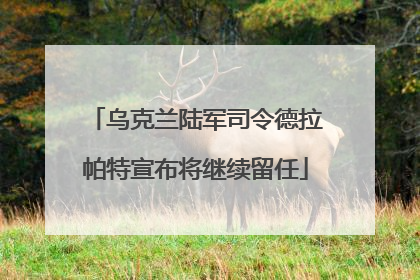 乌克兰陆军司令德拉帕特宣布将继续留任