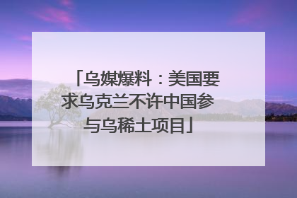 乌媒爆料：美国要求乌克兰不许中国参与乌稀土项目