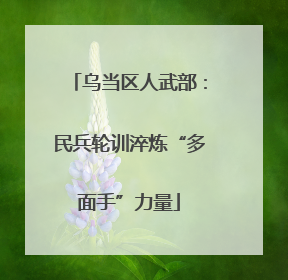 乌当区人武部：民兵轮训淬炼“多面手”力量