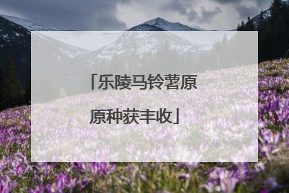 乐陵马铃薯原原种获丰收