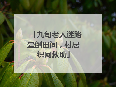 九旬老人迷路晕倒田间，村居织网救助