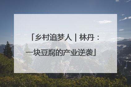 乡村追梦人｜林丹：一块豆腐的产业逆袭