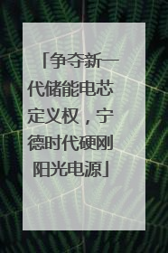 争夺新一代储能电芯定义权，宁德时代硬刚阳光电源