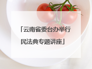 云南省委台办举行民法典专题讲座