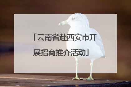 云南省赴西安市开展招商推介活动