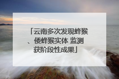 云南多次发现蜂猴、倭蜂猴实体 监测获阶段性成果