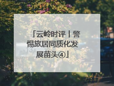 云岭时评丨警惕旅居同质化发展苗头④