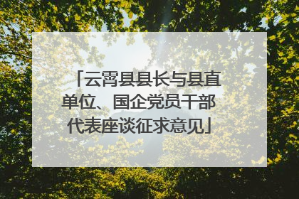 云霄县县长与县直单位、国企党员干部代表座谈征求意见
