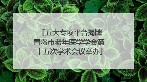 五大专项平台揭牌 青岛市老年医学学会第十五次学术会议举办