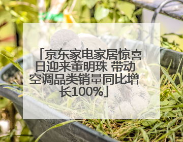 京东家电家居惊喜日迎来董明珠 带动空调品类销量同比增长100%