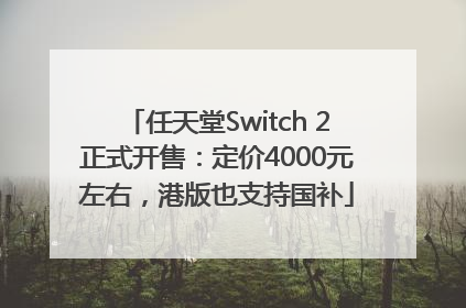 任天堂Switch 2正式开售：定价4000元左右，港版也支持国补