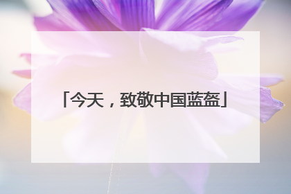 今天，致敬中国蓝盔