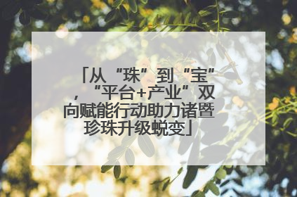 从“珠”到“宝”，“平台+产业”双向赋能行动助力诸暨珍珠升级蜕变