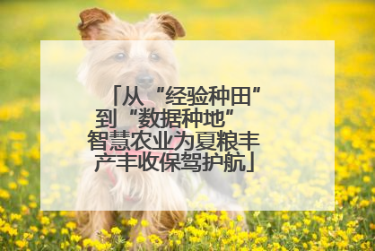 从“经验种田”到“数据种地” 智慧农业为夏粮丰产丰收保驾护航