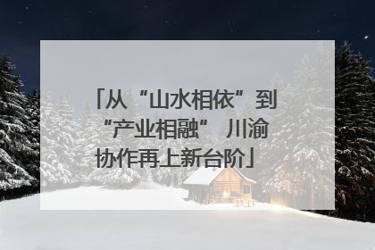从“山水相依”到“产业相融” 川渝协作再上新台阶