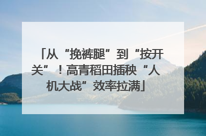 从“挽裤腿”到“按开关”！高青稻田插秧“人机大战”效率拉满