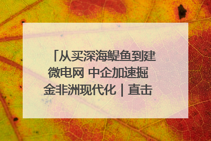 从买深海鳀鱼到建微电网 中企加速掘金非洲现代化｜直击中非经贸博览会