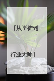 从学徒到行业大师
