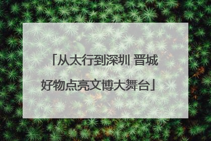 从太行到深圳 晋城好物点亮文博大舞台