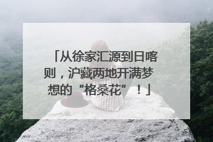从徐家汇源到日喀则，沪藏两地开满梦想的“格桑花”！
