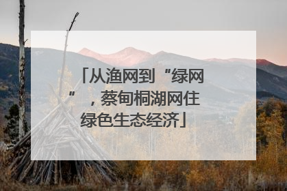 从渔网到“绿网”，蔡甸桐湖网住绿色生态经济